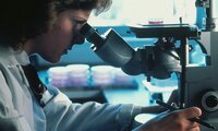 The Influence of Glycation on Lubrication in Nature